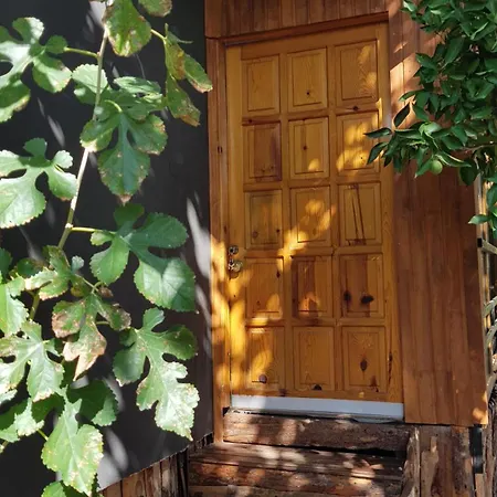 Chimera Holiday House Кемер